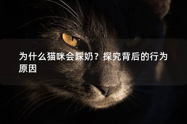 为什么猫咪会踩奶？探究背后的行为原因