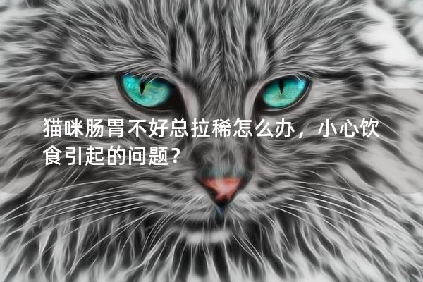 猫咪肠胃不好总拉稀怎么办，小心饮食引起的问题？