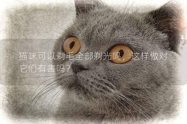 猫咪可以剃毛全部剃光吗，这样做对它们有害吗？