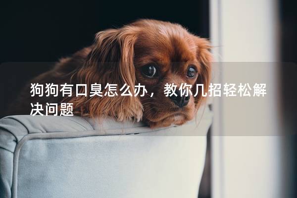 狗狗有口臭怎么办，教你几招轻松解决问题