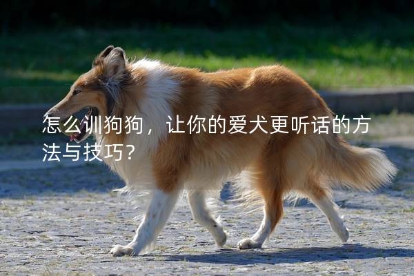 怎么训狗狗，让你的爱犬更听话的方法与技巧？