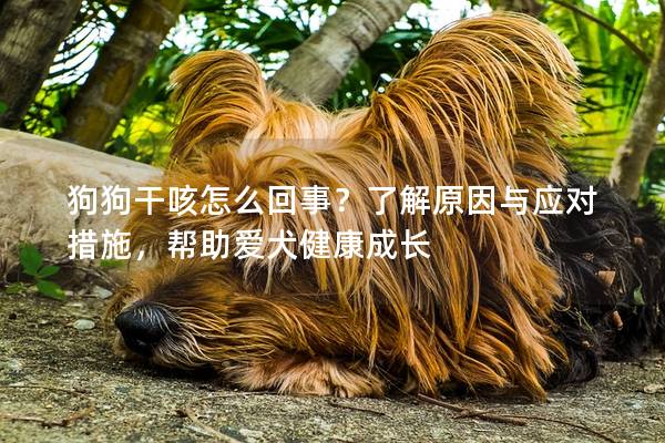 狗狗干咳怎么回事？了解原因与应对措施，帮助爱犬健康成长