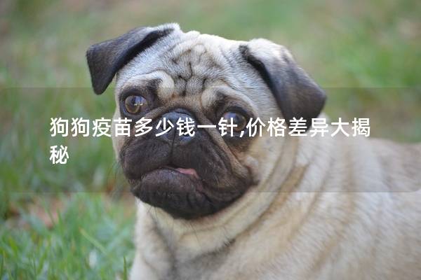 狗狗疫苗多少钱一针,价格差异大揭秘