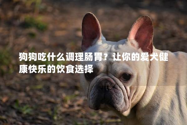 狗狗吃什么调理肠胃？让你的爱犬健康快乐的饮食选择