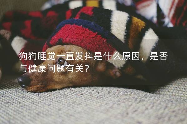 狗狗睡觉一直发抖是什么原因，是否与健康问题有关？