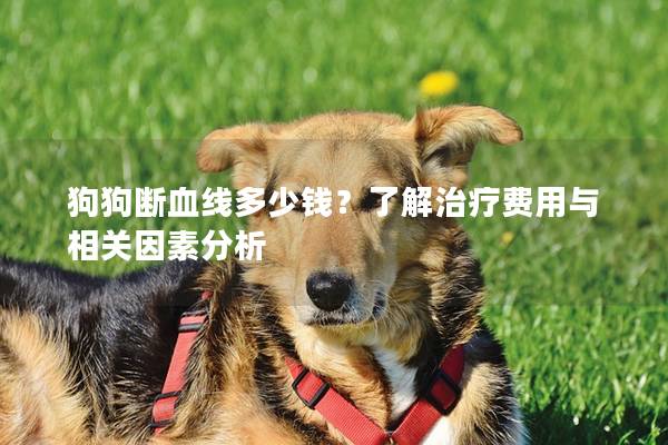 狗狗断血线多少钱？了解治疗费用与相关因素分析