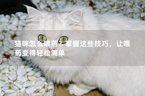 猫咪怎么喂药？掌握这些技巧，让喂药变得轻松简单