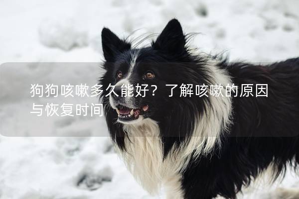 狗狗咳嗽多久能好？了解咳嗽的原因与恢复时间