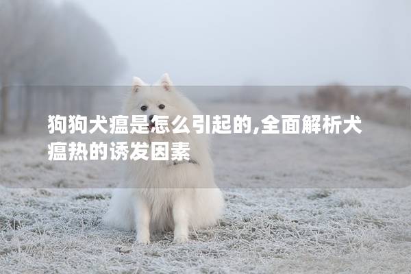 狗狗犬瘟是怎么引起的,全面解析犬瘟热的诱发因素