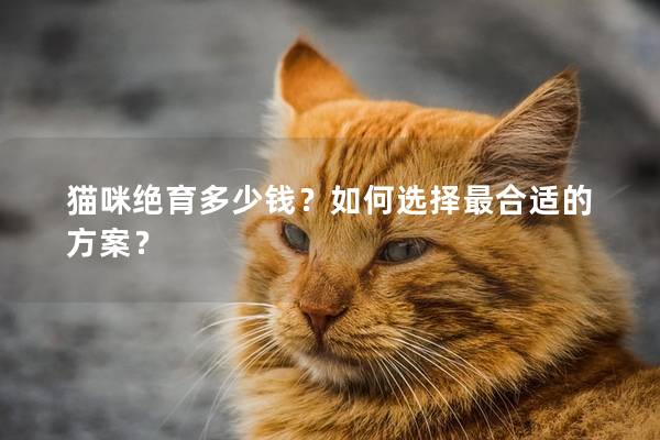 猫咪绝育多少钱？如何选择最合适的方案？