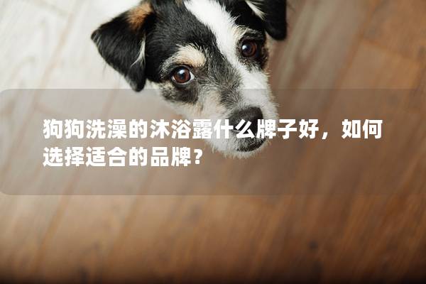 狗狗洗澡的沐浴露什么牌子好，如何选择适合的品牌？
