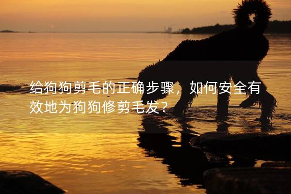 给狗狗剪毛的正确步骤，如何安全有效地为狗狗修剪毛发？