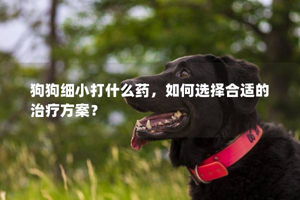 狗狗细小打什么药，如何选择合适的治疗方案？