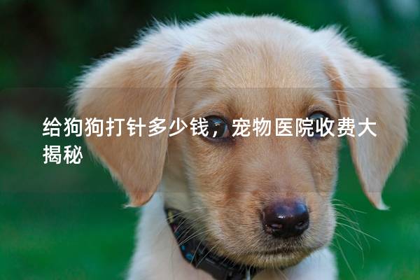 给狗狗打针多少钱，宠物医院收费大揭秘