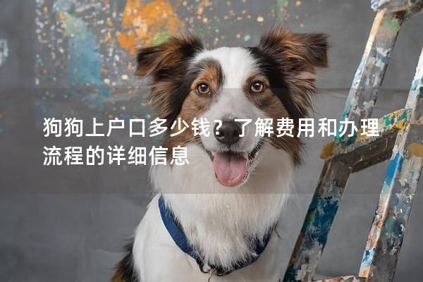 狗狗上户口多少钱？了解费用和办理流程的详细信息