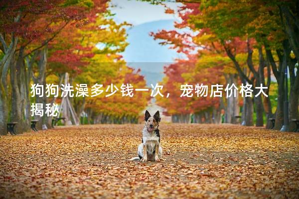 狗狗洗澡多少钱一次，宠物店价格大揭秘
