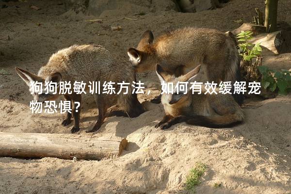 狗狗脱敏训练方法，如何有效缓解宠物恐惧？