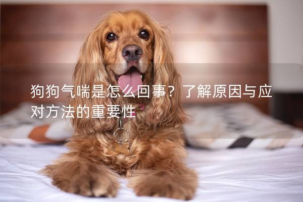 狗狗气喘是怎么回事？了解原因与应对方法的重要性