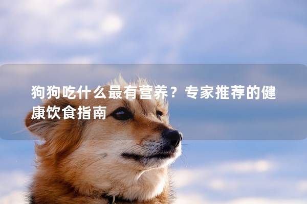 狗狗吃什么最有营养？专家推荐的健康饮食指南