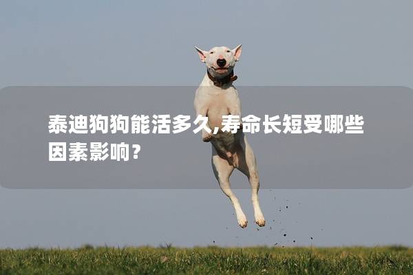 泰迪狗狗能活多久,寿命长短受哪些因素影响？