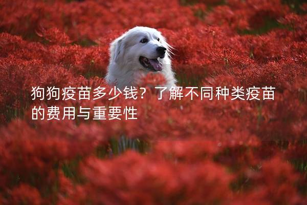 狗狗疫苗多少钱？了解不同种类疫苗的费用与重要性
