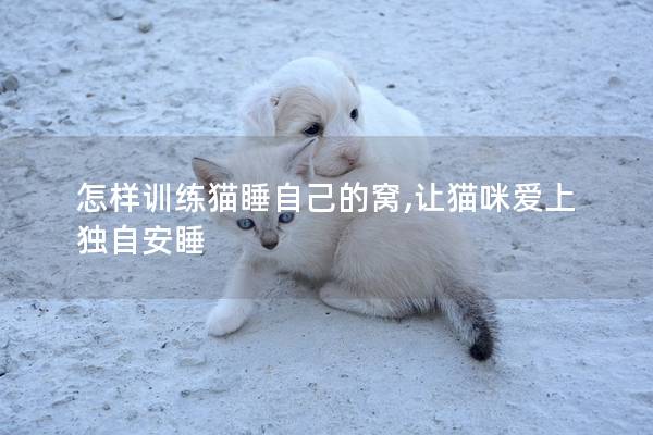 怎样训练猫睡自己的窝,让猫咪爱上独自安睡