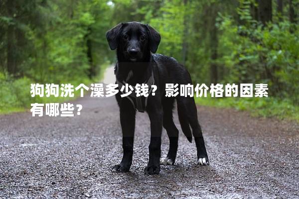 狗狗洗个澡多少钱？影响价格的因素有哪些？