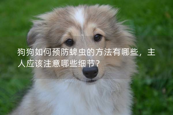 狗狗如何预防蜱虫的方法有哪些，主人应该注意哪些细节？