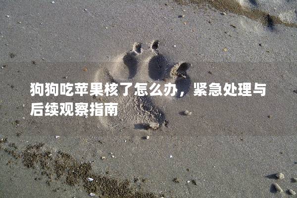 狗狗吃苹果核了怎么办，紧急处理与后续观察指南