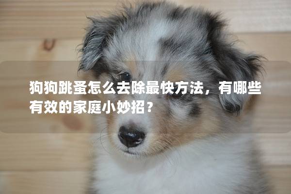 狗<a href=
