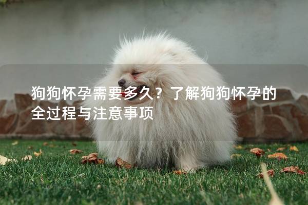 狗狗怀孕需要多久？了解狗狗怀孕的全过程与注意事项