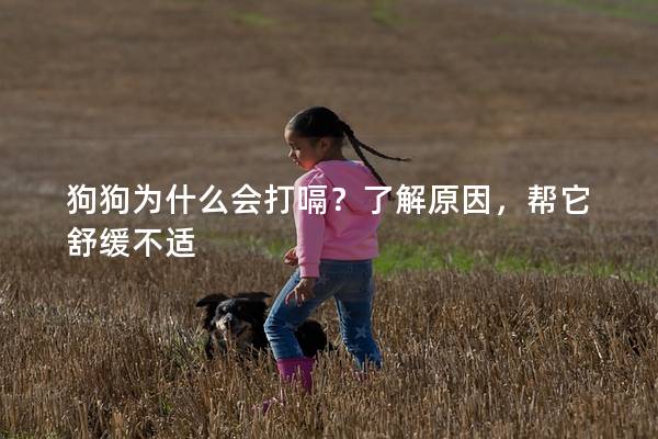 狗狗为什么会打嗝？了解原因，帮它舒缓不适