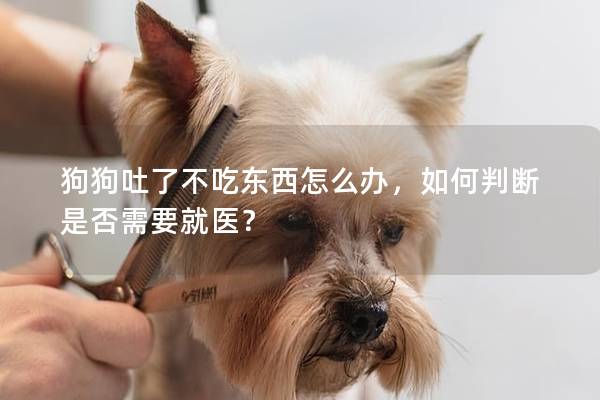 狗狗吐了不吃东西怎么办，如何判断是否需要就医？