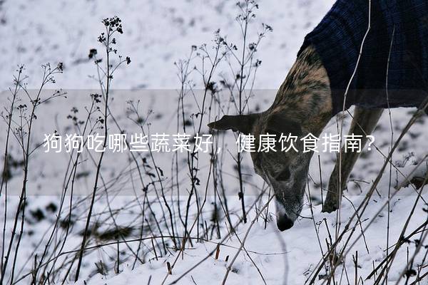 狗狗吃哪些蔬菜好，健康饮食指南？