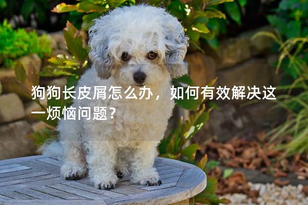 狗狗长皮屑怎么办，如何有效解决这一烦恼问题？