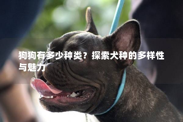 狗狗有多少种类？探索犬种的多样性与魅力