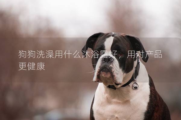 狗狗洗澡用什么沐浴露好，用对产品更健康