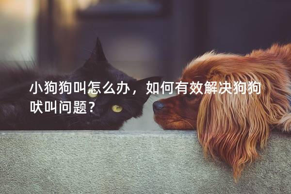 小狗狗叫怎么办，如何有效解决狗狗吠叫问题？