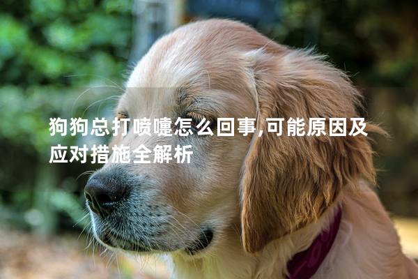狗狗总打喷嚏怎么回事,可能原因及应对措施全解析