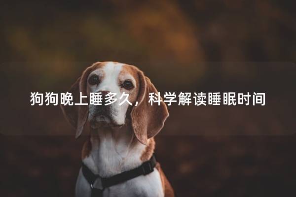 狗狗晚上睡多久，科学解读睡眠时间