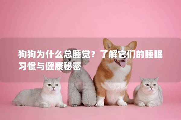 狗狗为什么总睡觉？了解它们的睡眠习惯与健康秘密