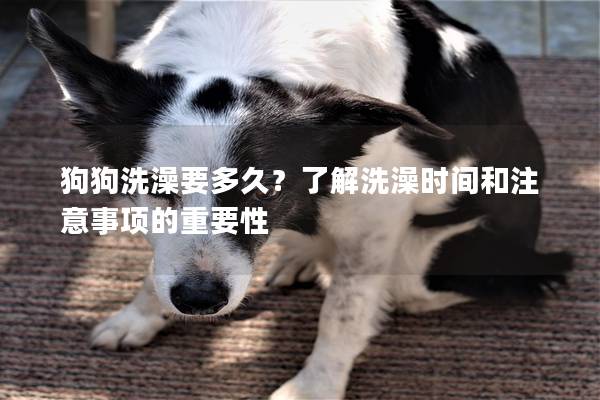 狗狗洗澡要多久？了解洗澡时间和注意事项的重要性