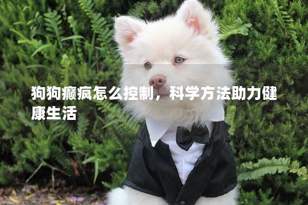 狗狗癫疯怎么控制，科学方法助力健康生活
