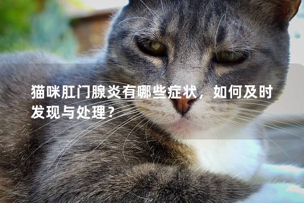 猫咪肛门腺炎有哪些症状，如何及时发现与处理？