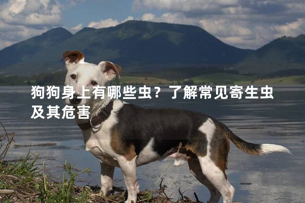 狗狗身上有哪些虫？了解常见寄生虫及其危害
