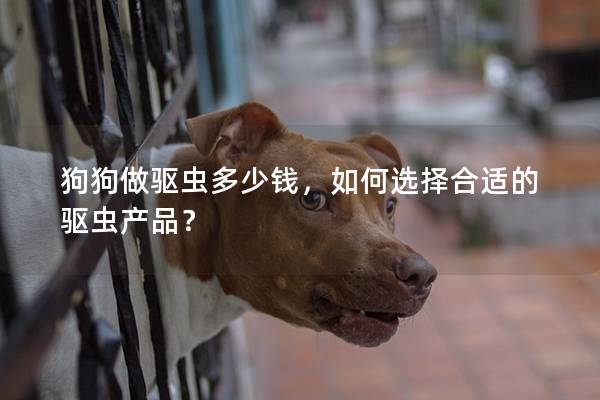狗狗做驱虫多少钱，如何选择合适的驱虫产品？