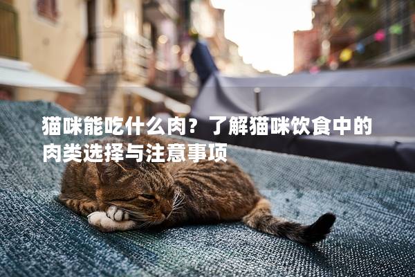 猫咪能吃什么肉？了解猫咪饮食中的肉类选择与注意事项