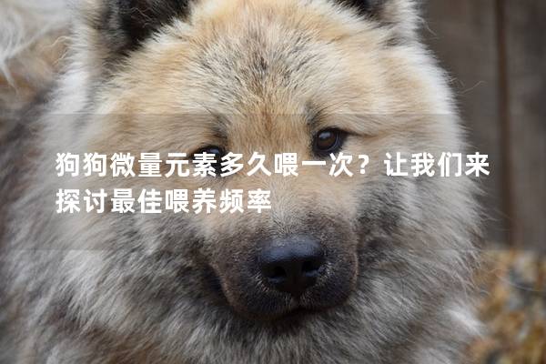 狗狗微量元素多久喂一次？让我们来探讨最佳喂养频率