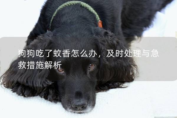 狗狗吃了蚊香怎么办，及时处理与急救措施解析