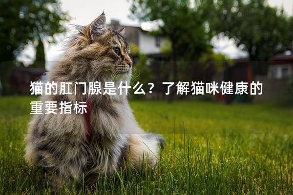 猫的肛门腺是什么？了解猫咪健康的重要指标